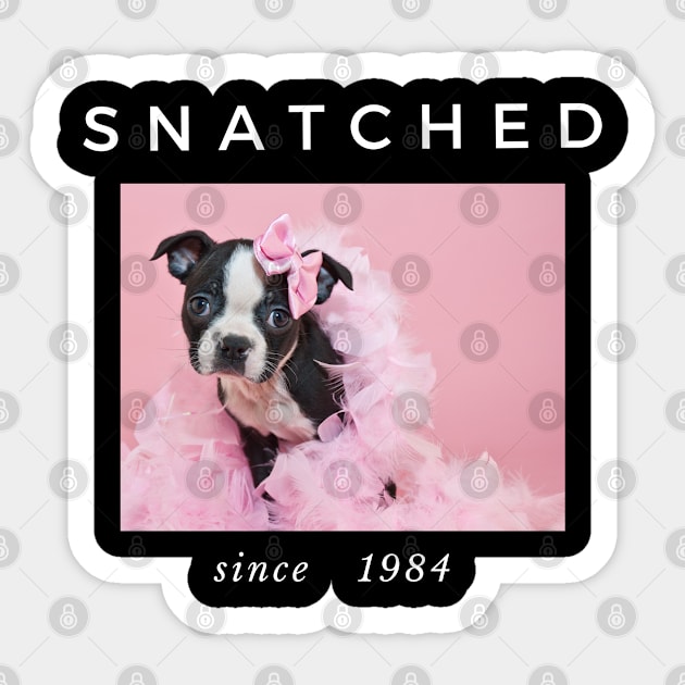 1984 Millennial Snatched Boston Terrier Dog Lover Sticker by familycuteycom